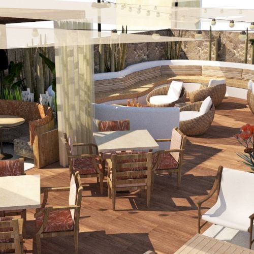 A modern outdoor patio with wooden tables, chairs, lounge seating, and various potted plants in a sunny setting.